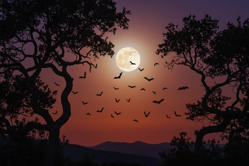 Silhouettes of bats flying against a warm twilight sky with a glowing full moon and lush tree branches, celebrating the wonder of nature on International Bat Appreciation Day.
